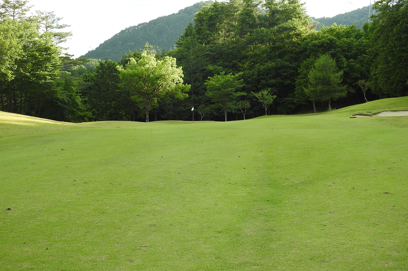 Hole12